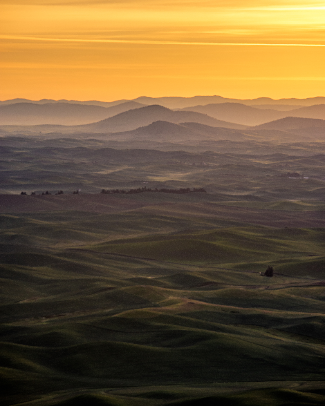 Palouse